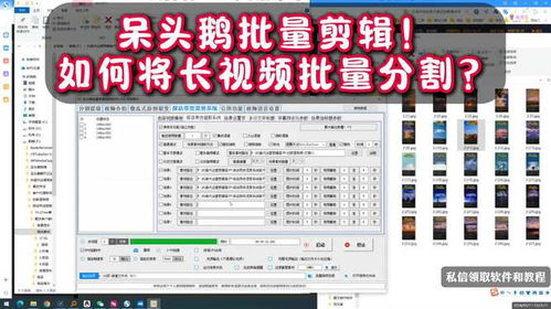 呆頭鵝批量剪輯矩陣系統 想知道如何將長視頻批量分割